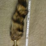 golden tail – Bild 4