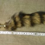 golden tail – Bild 2